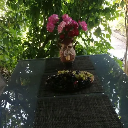 яна Case de vacanță